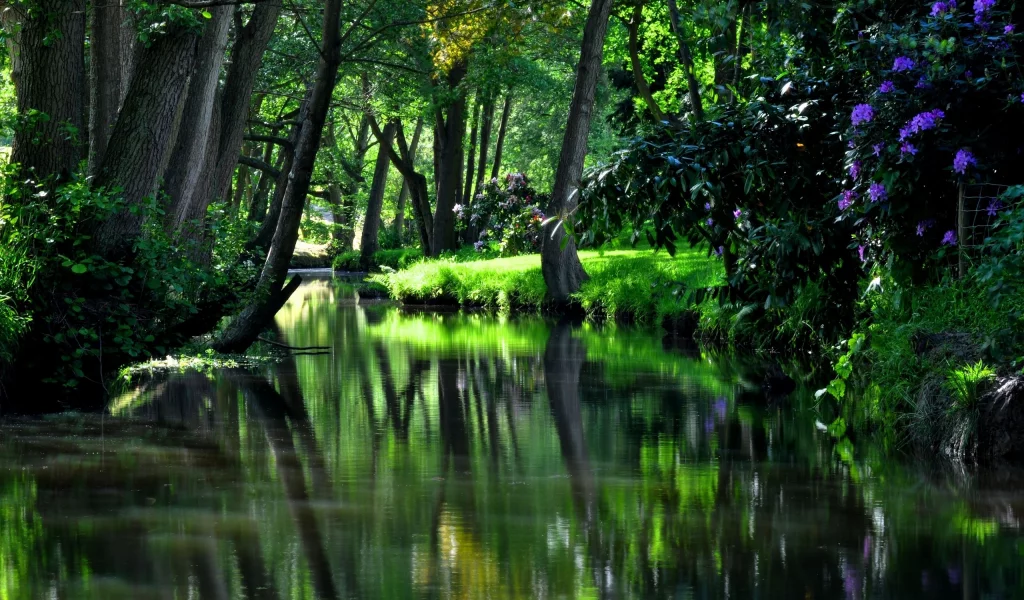 water, nice, reservoir, river, garden, flower, strees, shadow, cool, summer, residences, wood, forest, park, green, water, reflection, beautiful, nature, lake, day, sun, wide