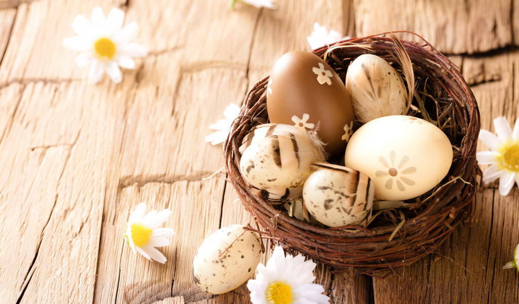 пасха, яйца, flowers, ромашки, camomile, wood, eggs, easter