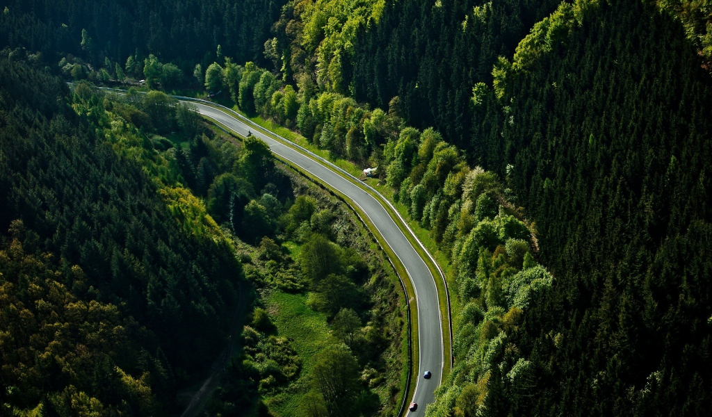 лес, nurburgring, трасса, автомобили