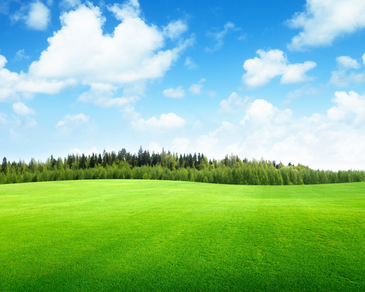 clouds, field of grass , trees, поле трава, beautiful, sky, landscape, nature, небо