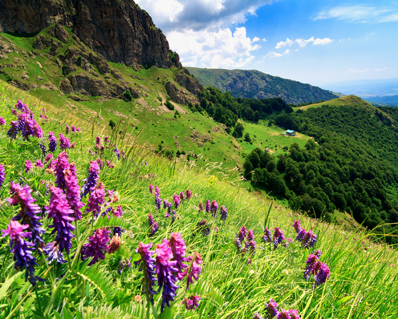 стара планина, балканские горы, болгария, горы, скалы, деревья, лес, небо, облака, трава, цветы, пейзаж, природа