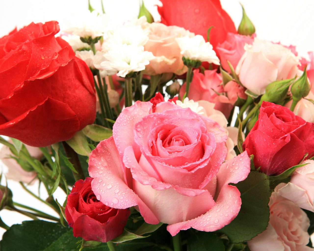 flowers, красивая, букет из роз, bouquet of roses, цветы, beautiful