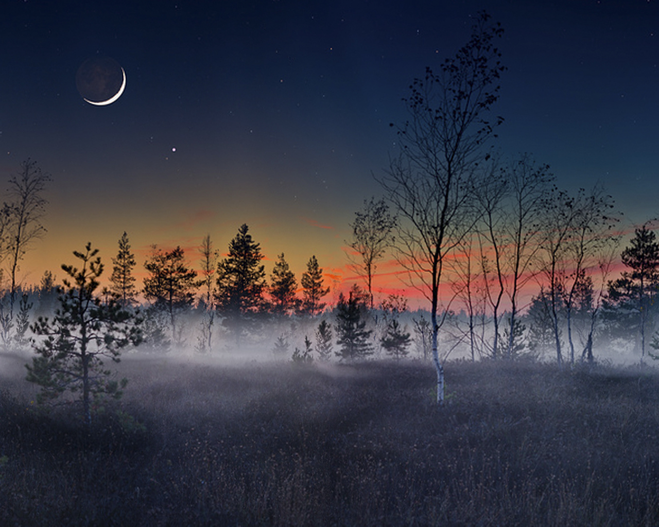природа, луна, туман, юпитер, лес, ночь, пейзаж