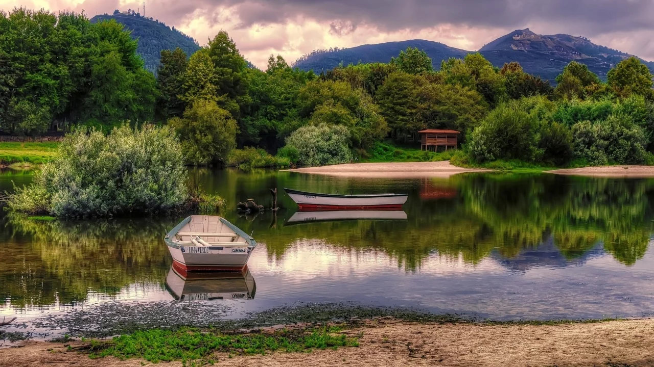 природа, кусты, речка, лодки