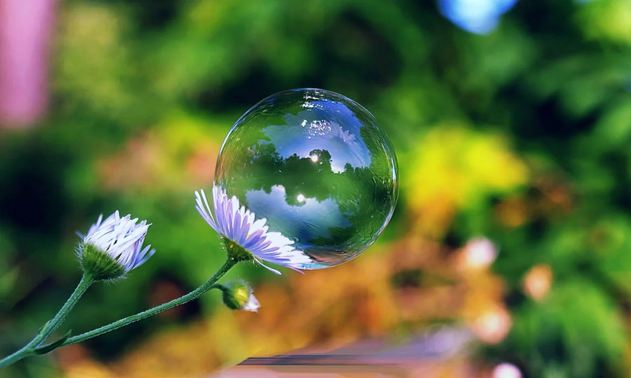 day, soap, bubble, flower, sun, green, summer, beautiful, village, wide, park, meadow