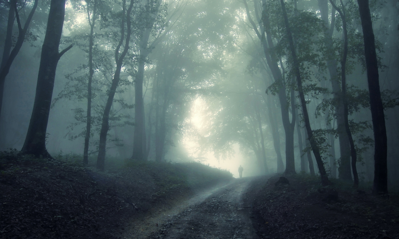 лес, человек, мрак, призрак, туман, страх