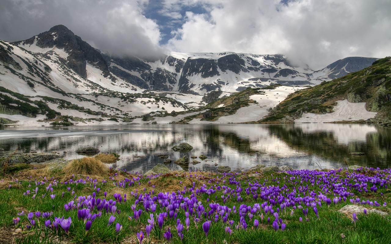 горы, вершина, скалы, камни, снег, озеро, небо, облака, трава, цветы, природа, пейзаж, рила, болгария