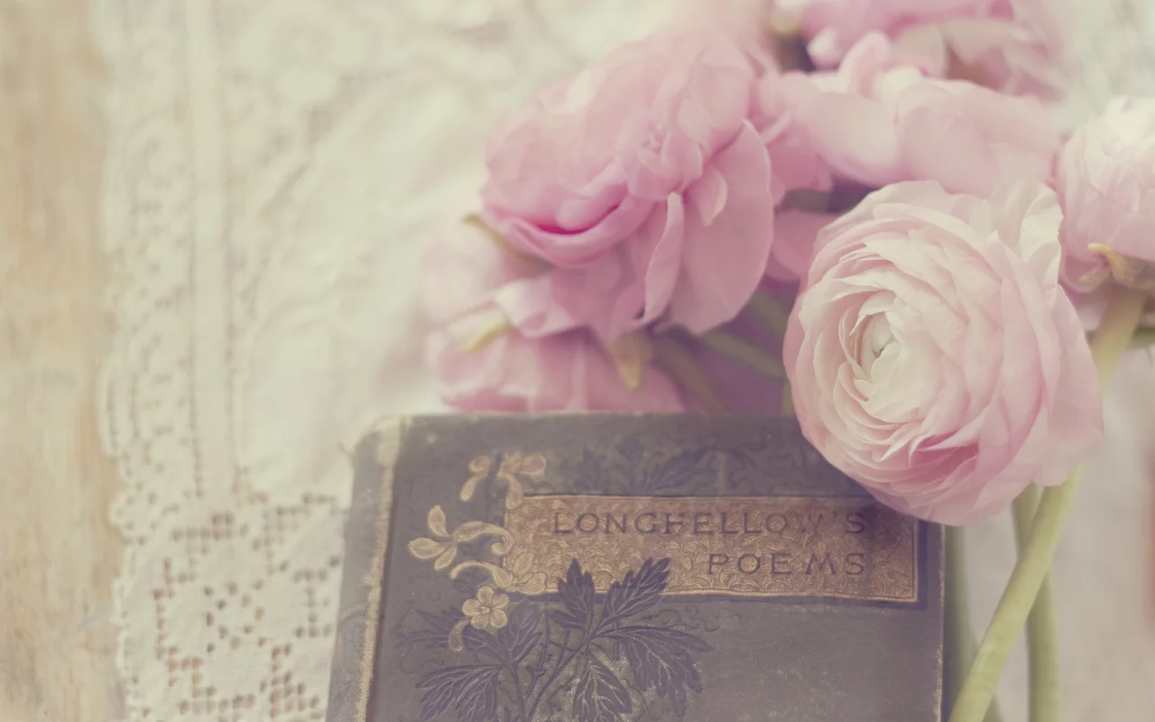 белые, лепестки, цветы, розовые, ranunculus, бутоны, лютики