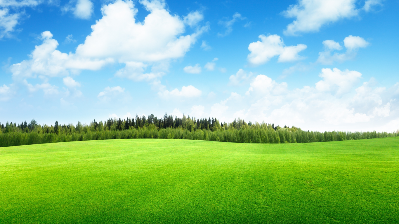 clouds, field of grass , trees, поле трава, beautiful, sky, landscape, nature, небо