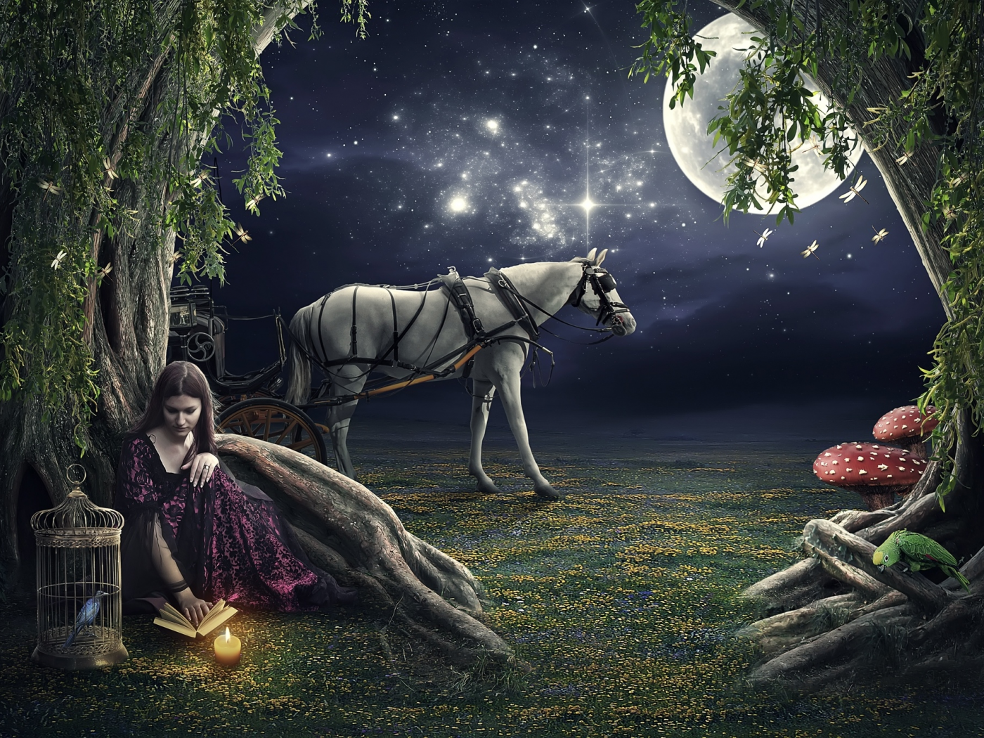очь, девушка, свеча, клетка, лошадь, луна, звёзды, попугай, птица, дерево, книга, грибы, стрекоза