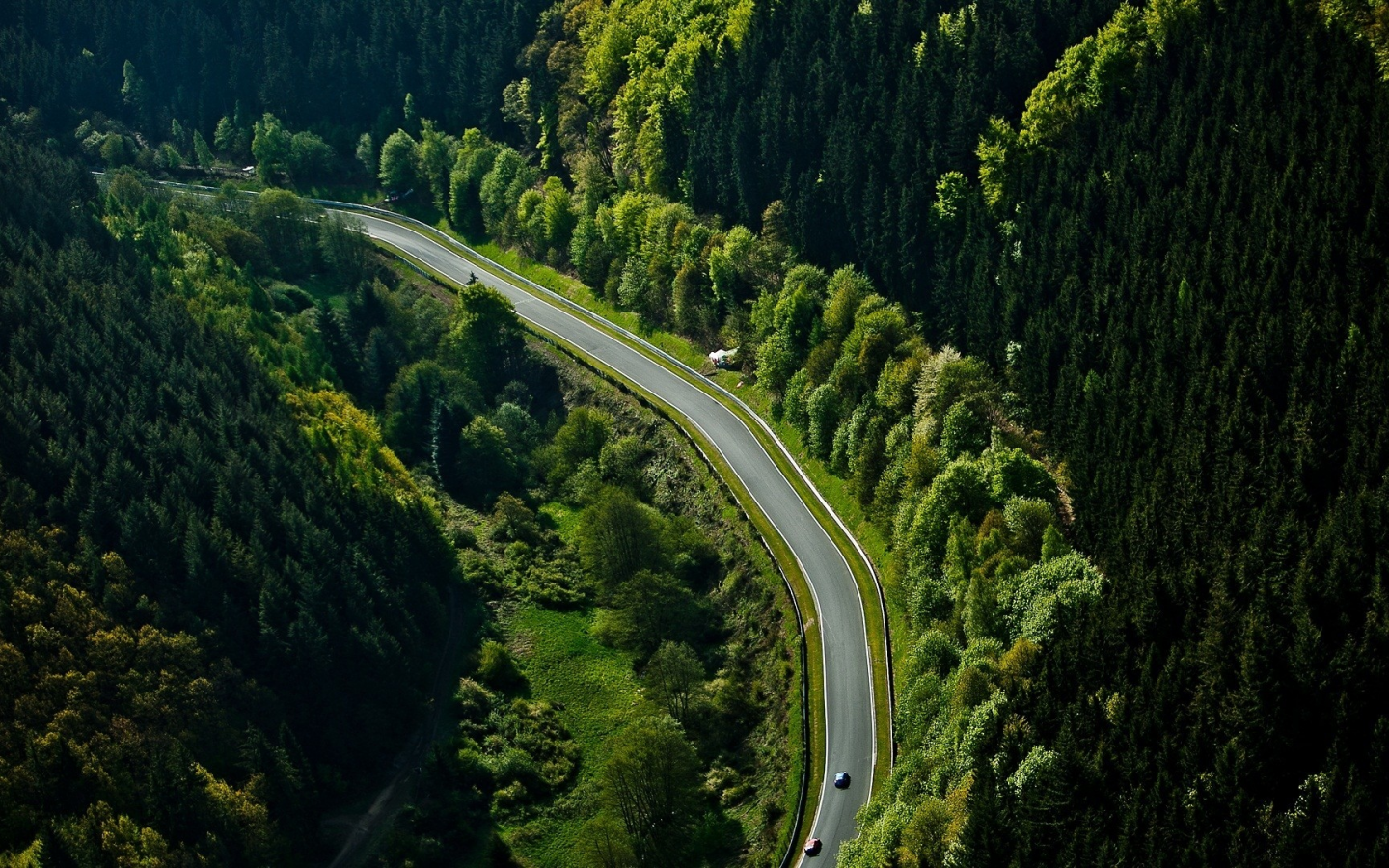 лес, nurburgring, трасса, автомобили