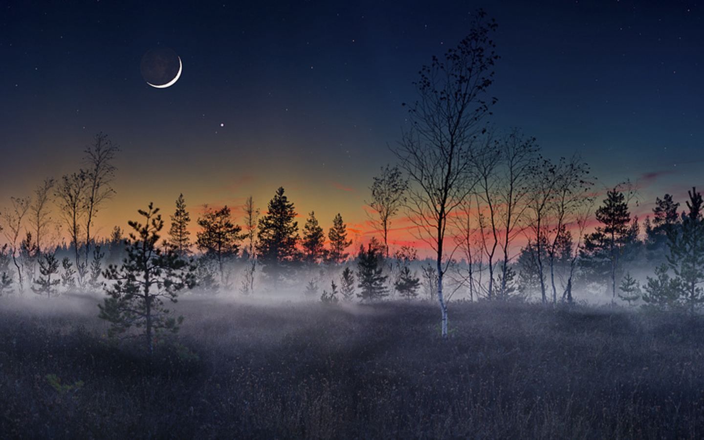 природа, луна, туман, юпитер, лес, ночь, пейзаж