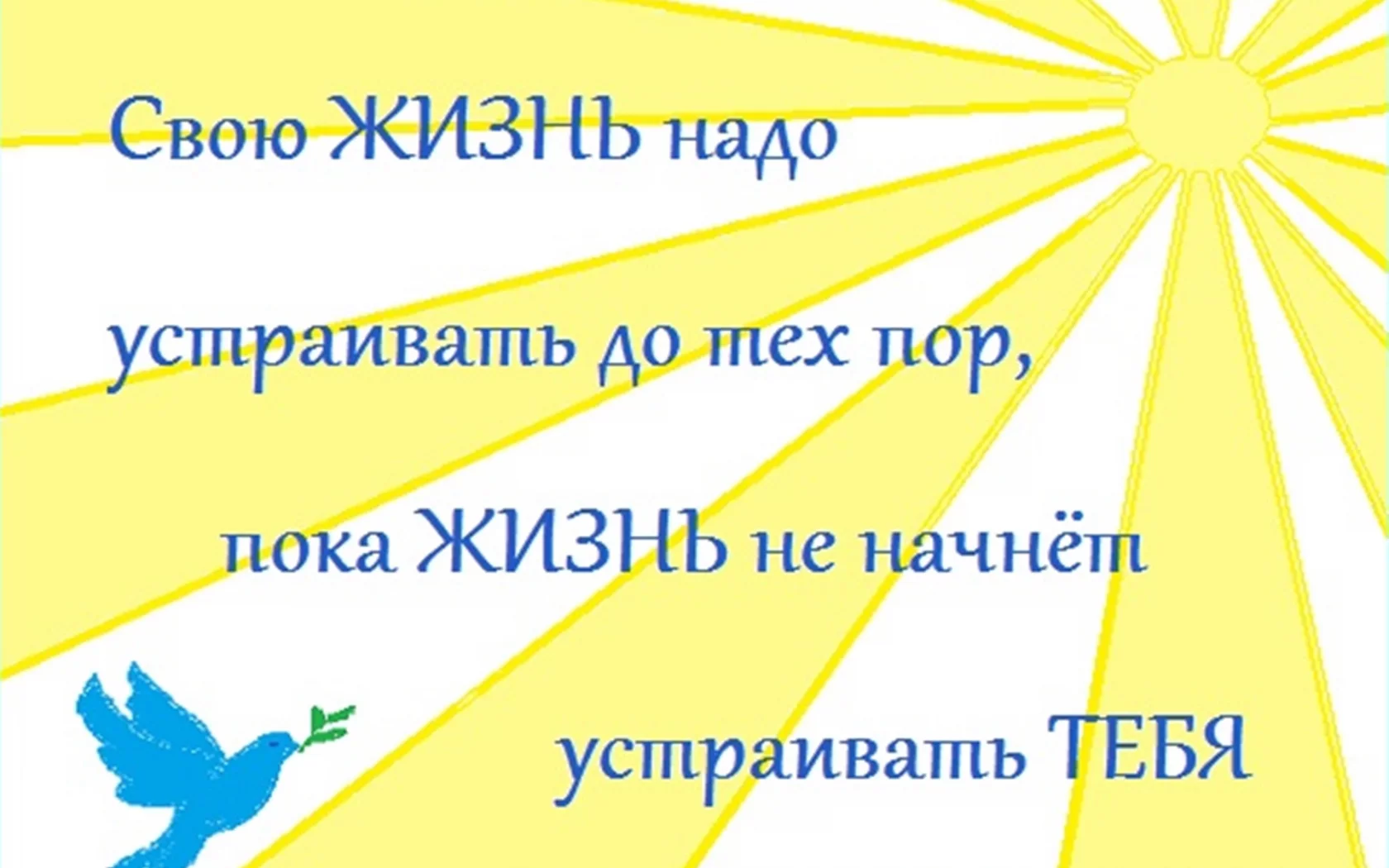фразы, изречения