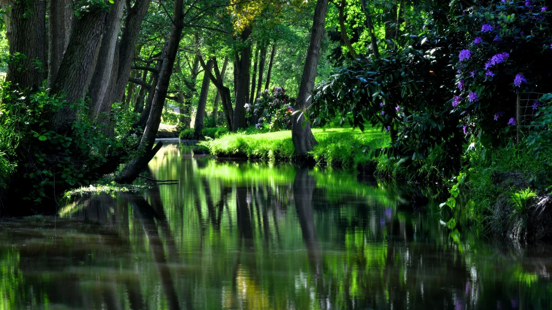 water, nice, reservoir, river, garden, flower, strees, shadow, cool, summer, residences, wood, forest, park, green, water, reflection, beautiful, nature, lake, day, sun, wide