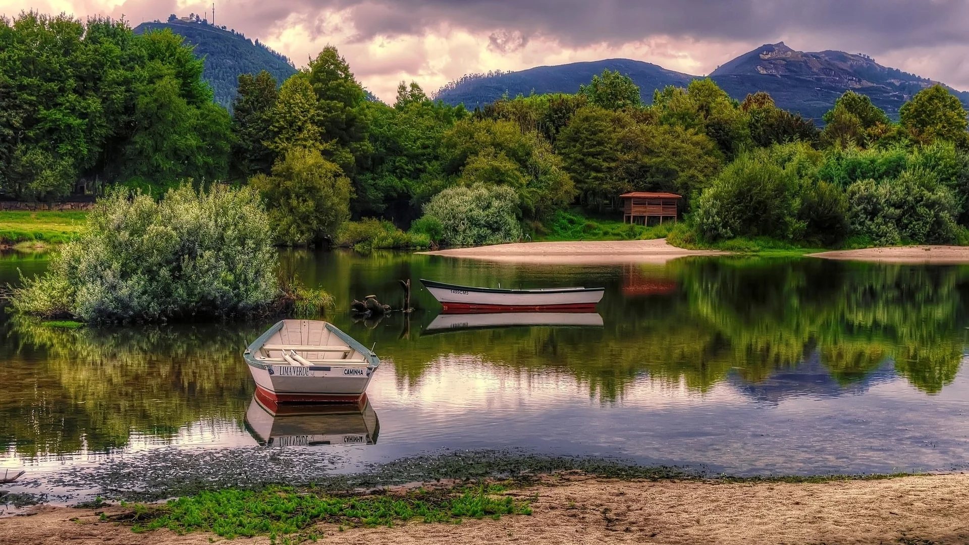 природа, кусты, речка, лодки