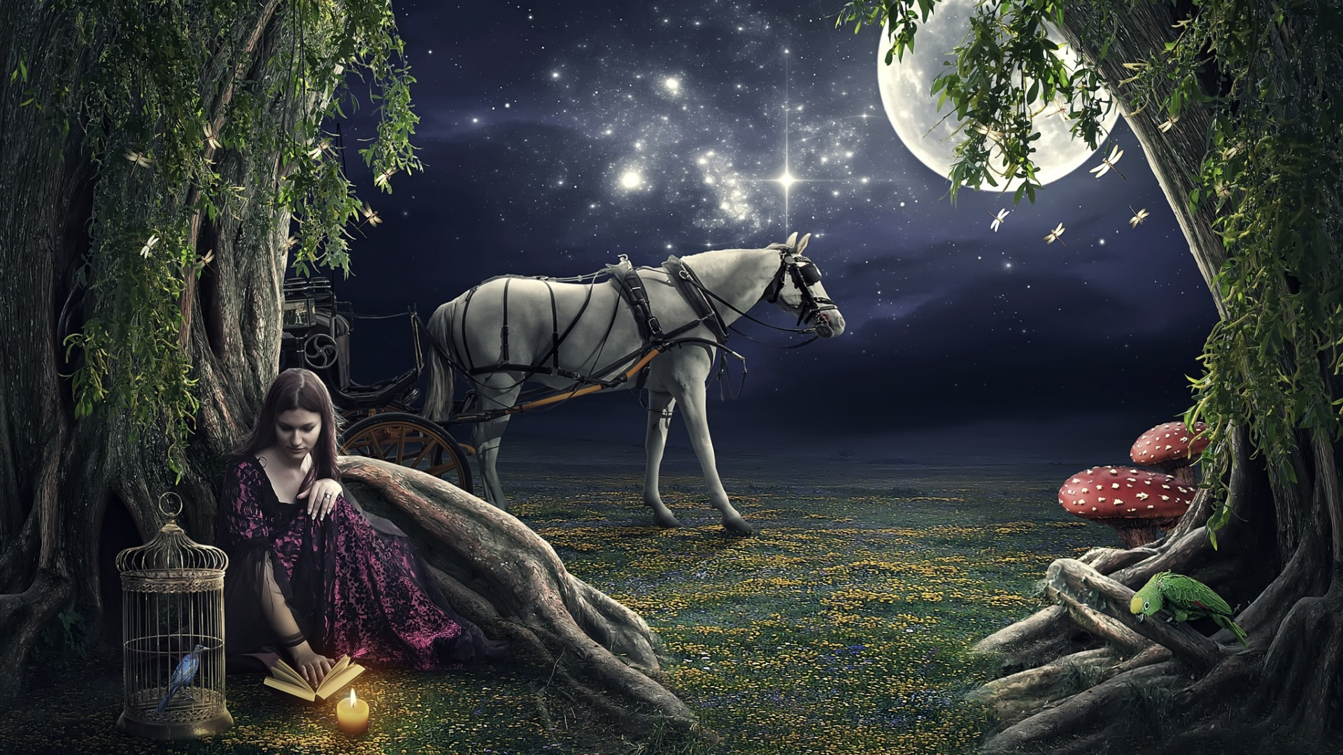 очь, девушка, свеча, клетка, лошадь, луна, звёзды, попугай, птица, дерево, книга, грибы, стрекоза