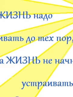 фразы, изречения