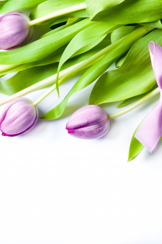 flowers, spring, лепестки, bouquet, tulips, цветы, тюльпаны, весна