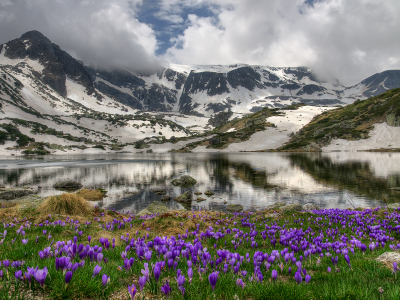 горы, вершина, скалы, камни, снег, озеро, небо, облака, трава, цветы, природа, пейзаж, рила, болгария