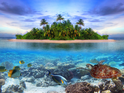 island, остров, marine, life, maldives, sea, fish, under, water, jcean, ocean, coast, paradise, tropical, sea, sky, sunshine, emerald, blue, beach, sand, sun, summer, smile, wide