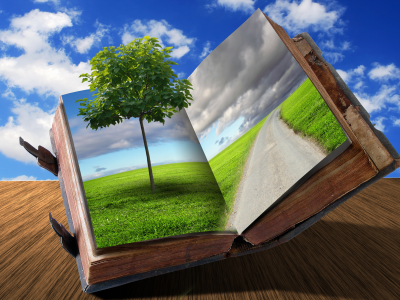 креатив, книга, дорога, дерево, облака, трава