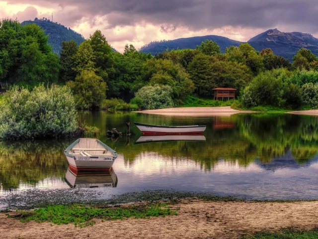 природа, кусты, речка, лодки