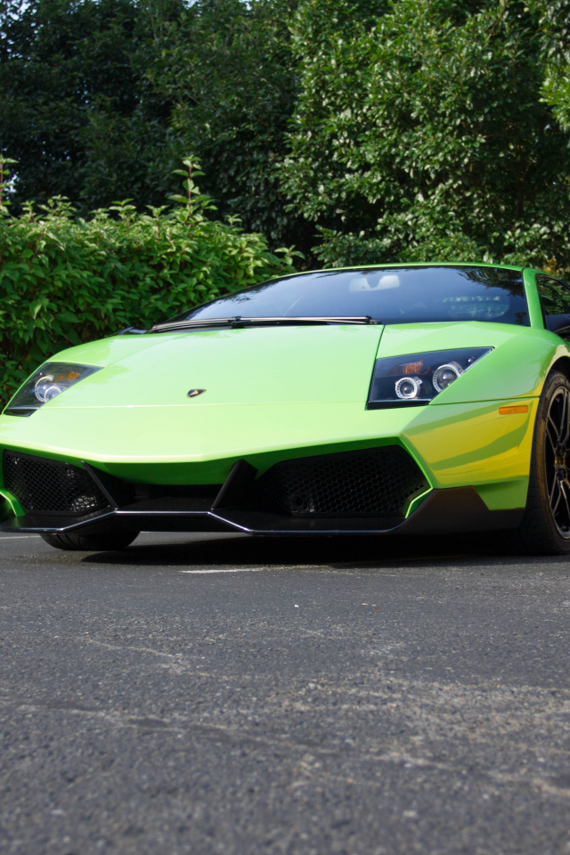 lp670-4 sv, ламборгини, green, мурсиэлаго, murcielago, lamborghini