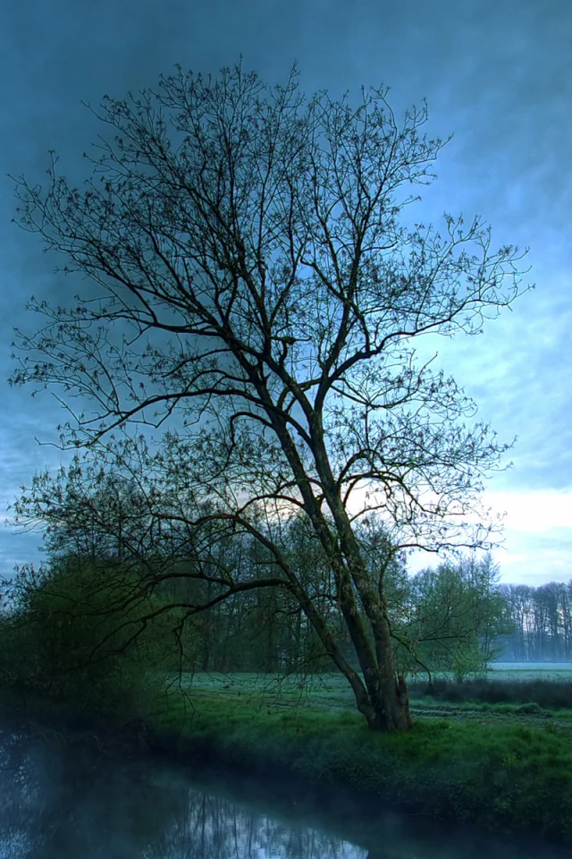 река, природа