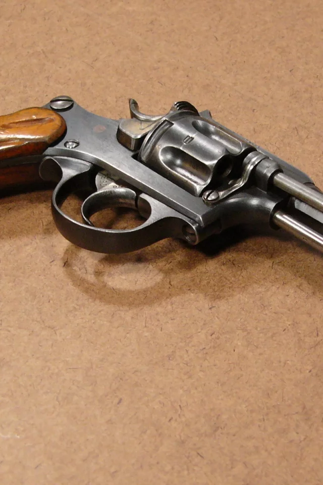 оружие, swiss ordnance m1882, револьвер