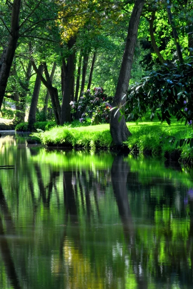 water, nice, reservoir, river, garden, flower, strees, shadow, cool, summer, residences, wood, forest, park, green, water, reflection, beautiful, nature, lake, day, sun, wide