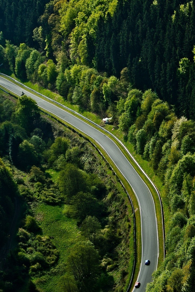 лес, nurburgring, трасса, автомобили