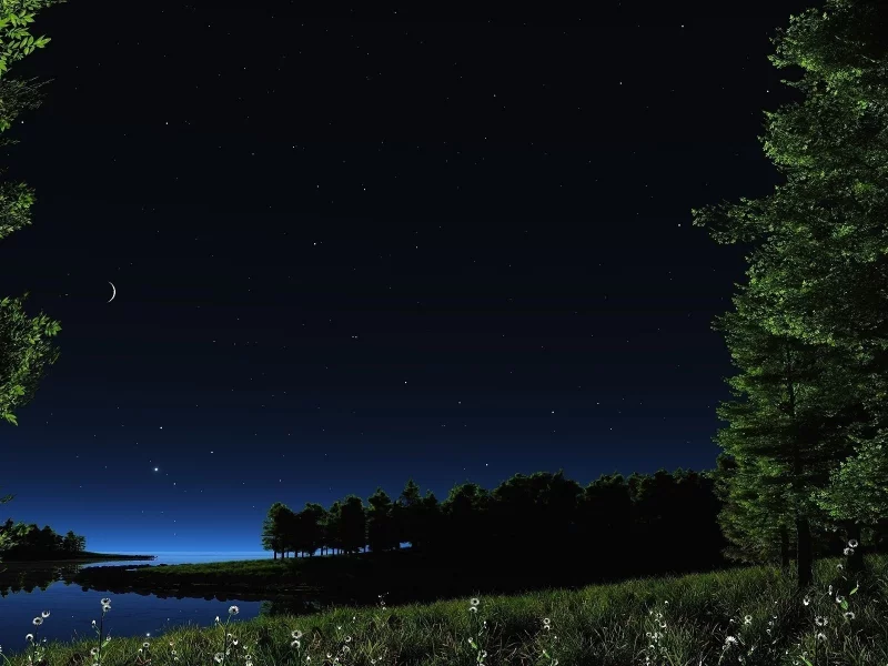 night, lake, sky, nature, summer
