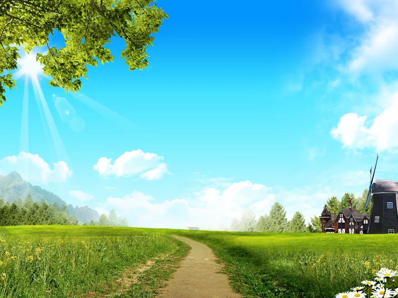 road, day, sun, summer, beautiful, village, wide, park, meadow