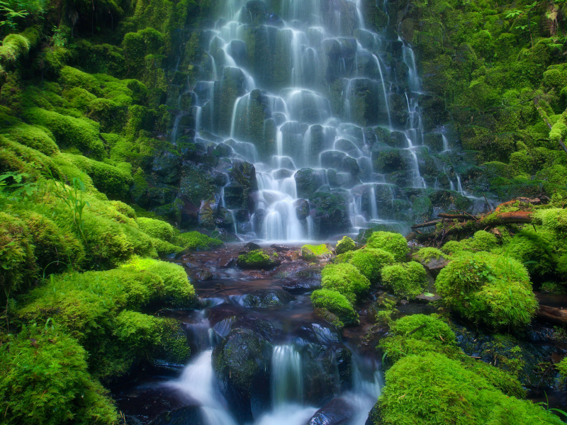 waterfall, gesser, water, nice, wood, водопад, meadow, day, sun, wide