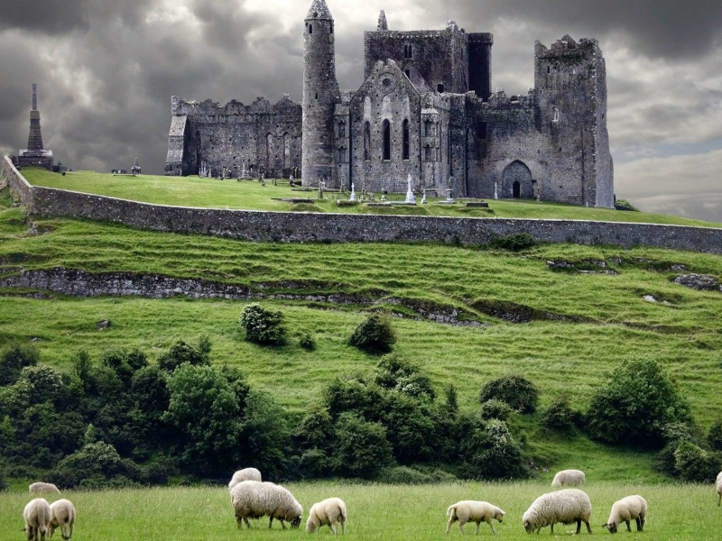ирландия, кашел, скала кашел, замок, поле, трава, овцы, небо, тучи