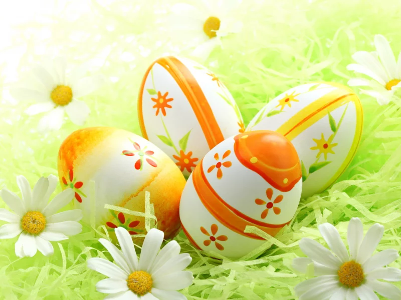 grass, spring, весна, eggs, пасха, easter, camomile, daisy, meadow, flowers, sunshine