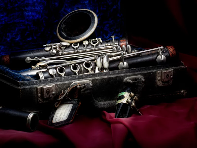 стиль, clarinet, футляр, бархат