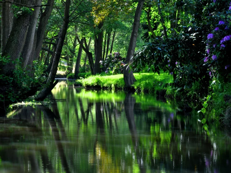 water, nice, reservoir, river, garden, flower, strees, shadow, cool, summer, residences, wood, forest, park, green, water, reflection, beautiful, nature, lake, day, sun, wide