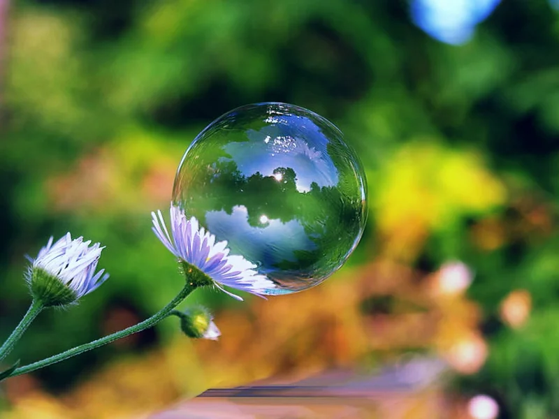 day, soap, bubble, flower, sun, green, summer, beautiful, village, wide, park, meadow