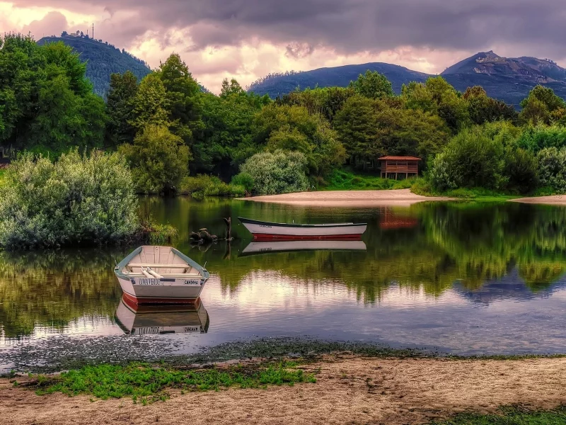 природа, кусты, речка, лодки