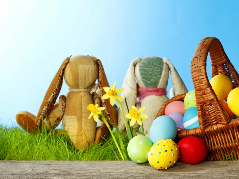 flowers, meadow, rabbit, пасха, easter, spring, grass, sunshine, bunny, eggs, daffodils