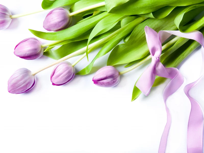 flowers, spring, лепестки, bouquet, tulips, цветы, тюльпаны, весна