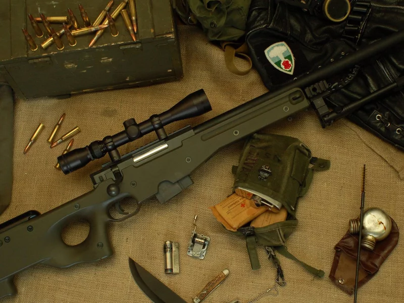 arctic warfare, accuracy international l96