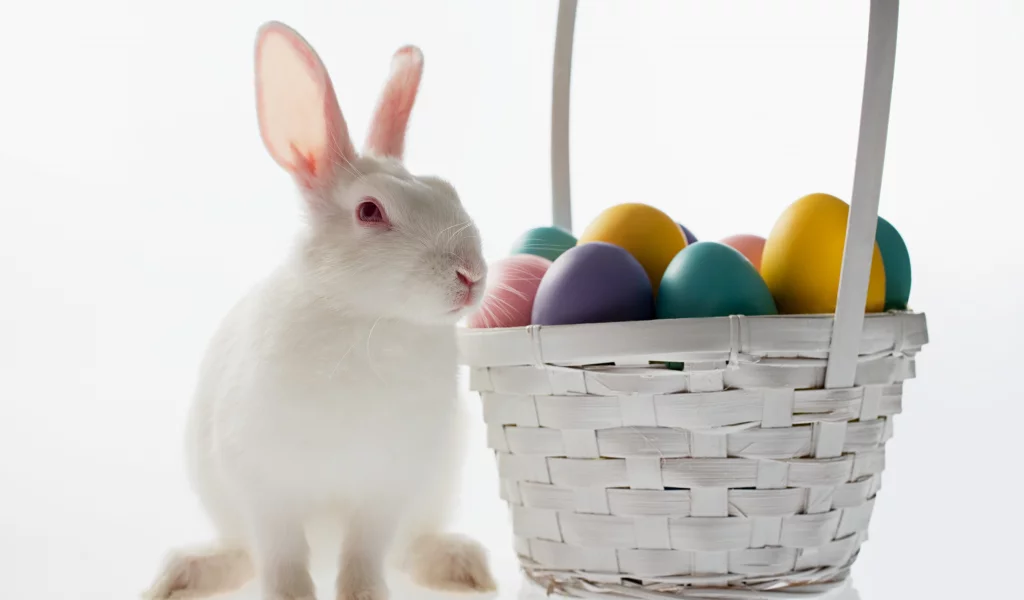 пасха, easter, кролик, яйцо, корзина
