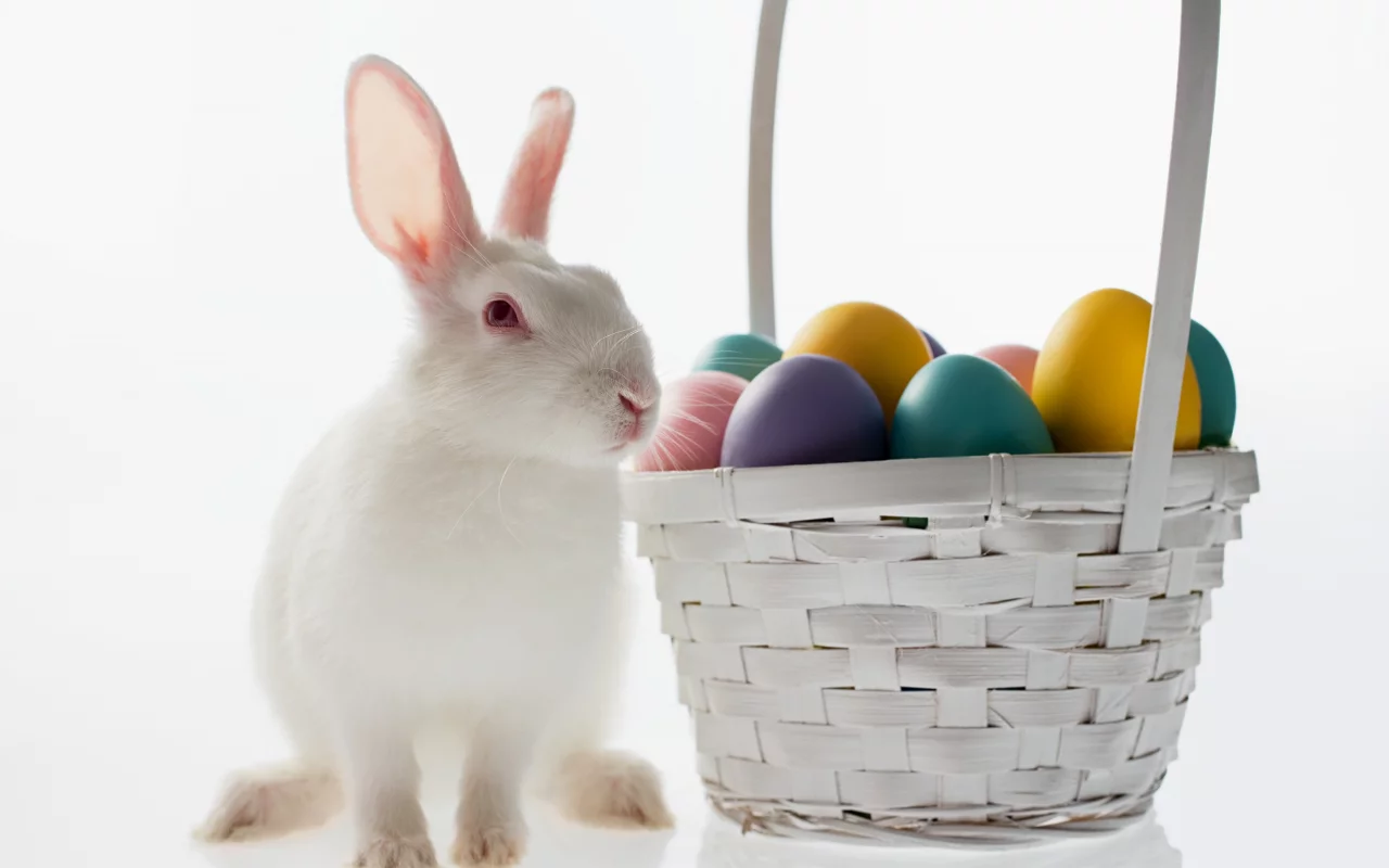 пасха, easter, кролик, яйцо, корзина