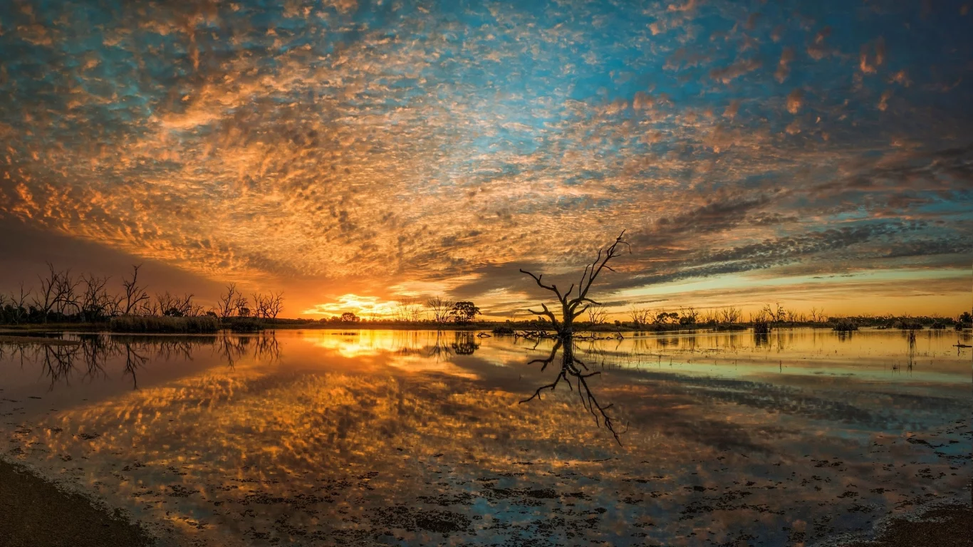 река, вода, деревья, берег, небо, облака, закат, солнце, природа