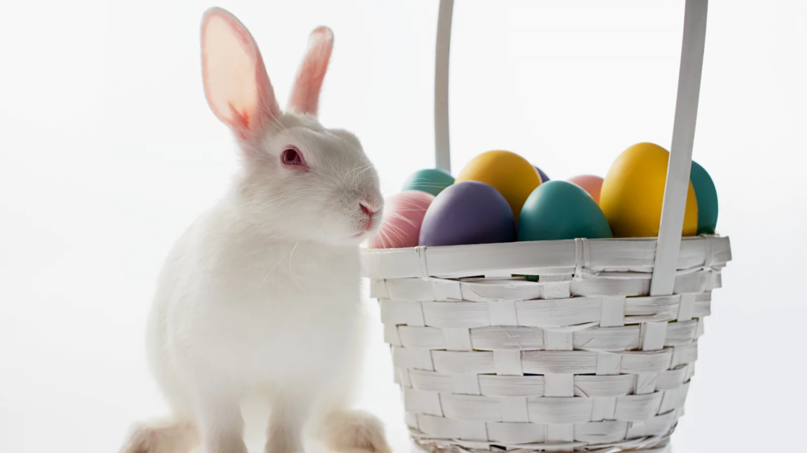 пасха, easter, кролик, яйцо, корзина