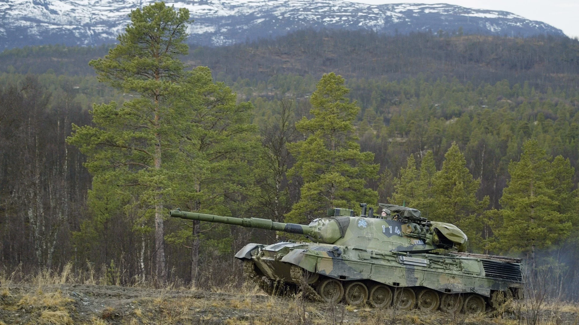 танк, лес