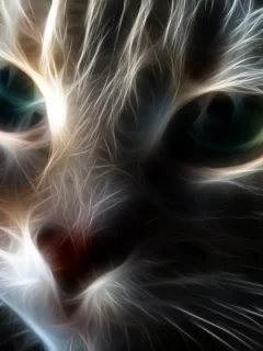 кот, взгляд, обои
