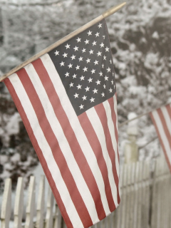 snow, winter fence, american flag